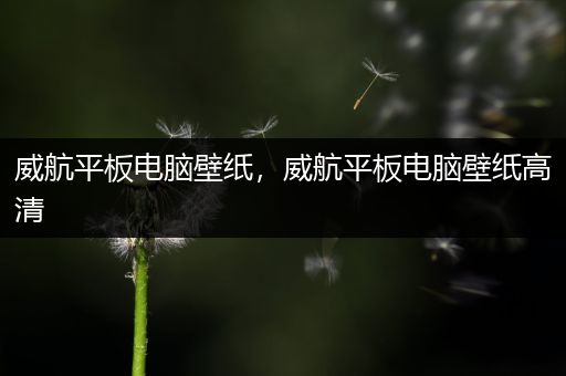 威航平板电脑壁纸，威航平板电脑壁纸高清