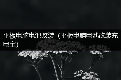 平板电脑电池改装（平板电脑电池改装充电宝）