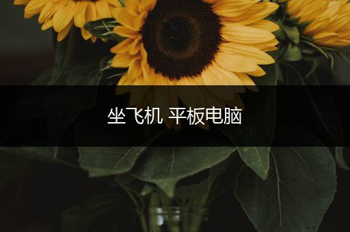 坐飞机 平板电脑
