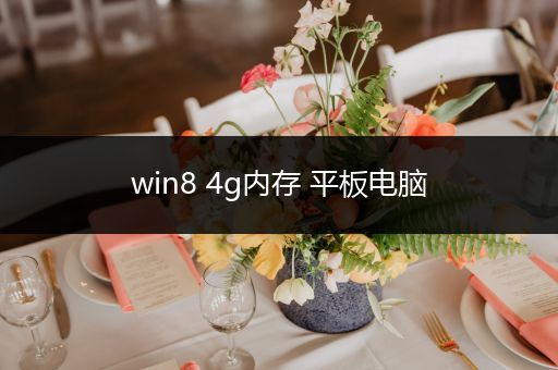 win8 4g内存 平板电脑