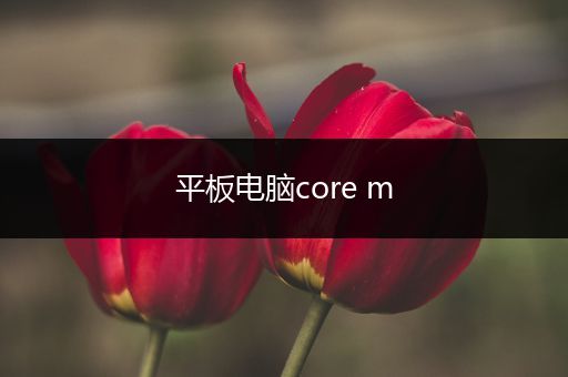 平板电脑core m