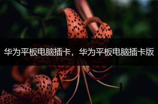 华为平板电脑插卡，华为平板电脑插卡版