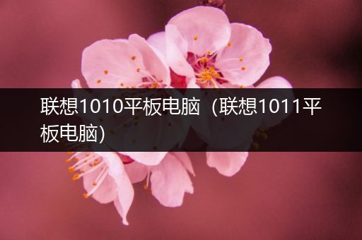 联想1010平板电脑（联想1011平板电脑）