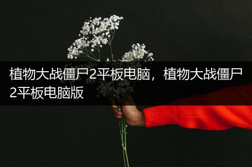植物大战僵尸2平板电脑，植物大战僵尸2平板电脑版