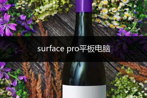 surface pro平板电脑