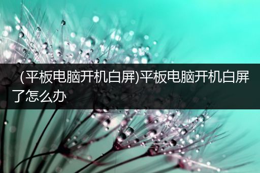 （平板电脑开机白屏)平板电脑开机白屏了怎么办