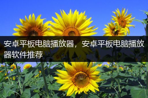 安卓平板电脑播放器，安卓平板电脑播放器软件推荐