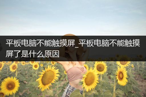 平板电脑不能触摸屏_平板电脑不能触摸屏了是什么原因