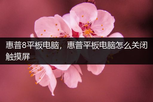 惠普8平板电脑，惠普平板电脑怎么关闭触摸屏