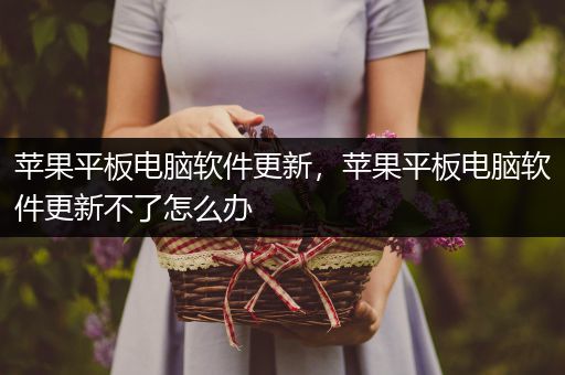 苹果平板电脑软件更新，苹果平板电脑软件更新不了怎么办