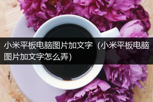 小米平板电脑图片加文字（小米平板电脑图片加文字怎么弄）