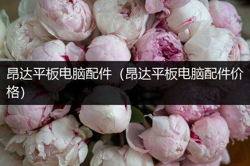 昂达平板电脑配件（昂达平板电脑配件价格）