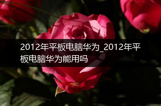 2012年平板电脑华为_2012年平板电脑华为能用吗