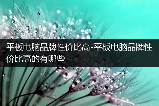平板电脑品牌性价比高-平板电脑品牌性价比高的有哪些