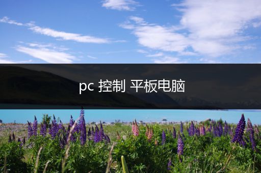 pc 控制 平板电脑