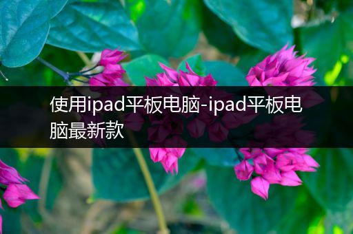 使用ipad平板电脑-ipad平板电脑最新款