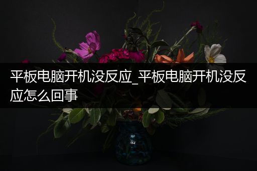 平板电脑开机没反应_平板电脑开机没反应怎么回事