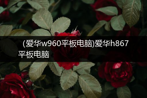 （爱华w960平板电脑)爱华h867平板电脑