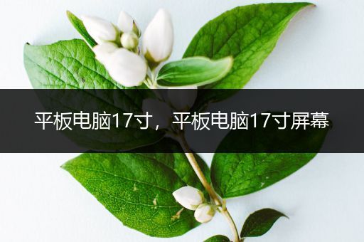 平板电脑17寸，平板电脑17寸屏幕