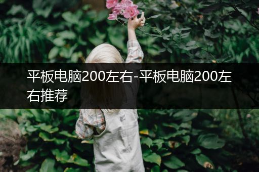 平板电脑200左右-平板电脑200左右推荐