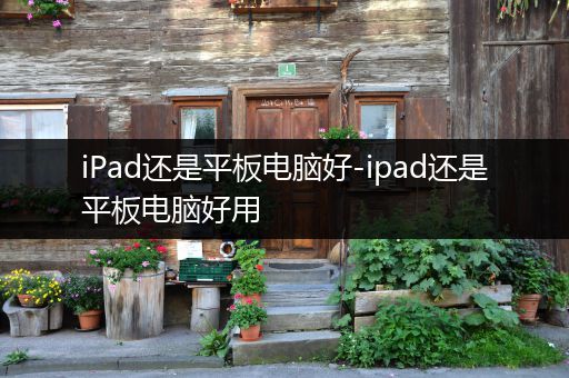 iPad还是平板电脑好-ipad还是平板电脑好用