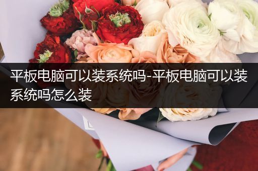 平板电脑可以装系统吗-平板电脑可以装系统吗怎么装