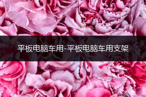 平板电脑车用-平板电脑车用支架