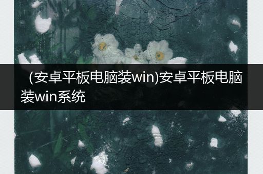 （安卓平板电脑装win)安卓平板电脑装win系统