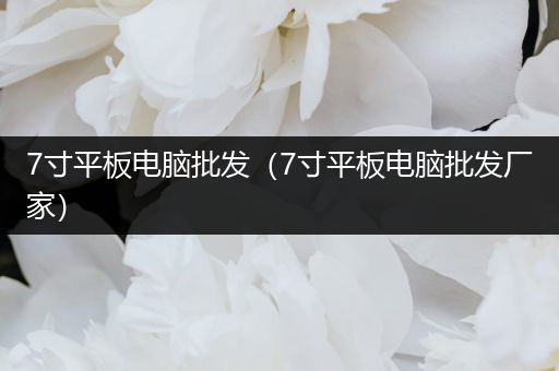7寸平板电脑批发（7寸平板电脑批发厂家）