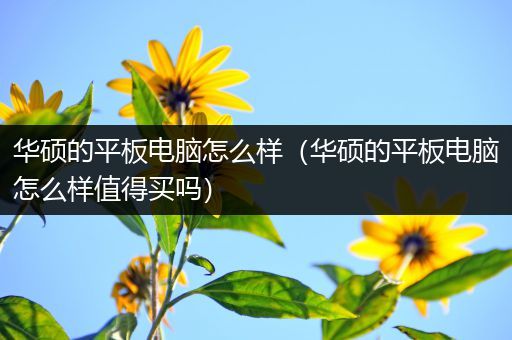 华硕的平板电脑怎么样（华硕的平板电脑怎么样值得买吗）