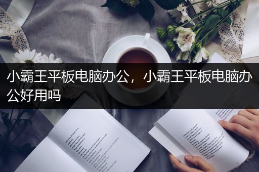 小霸王平板电脑办公，小霸王平板电脑办公好用吗