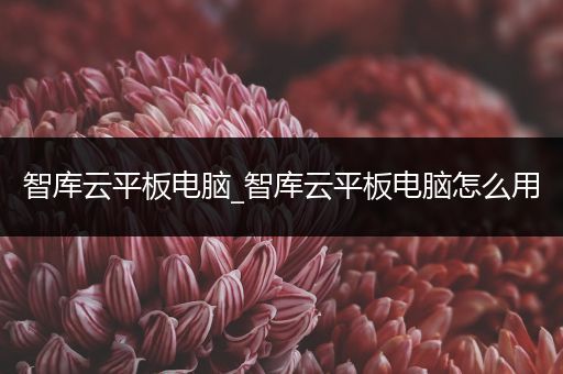 智库云平板电脑_智库云平板电脑怎么用