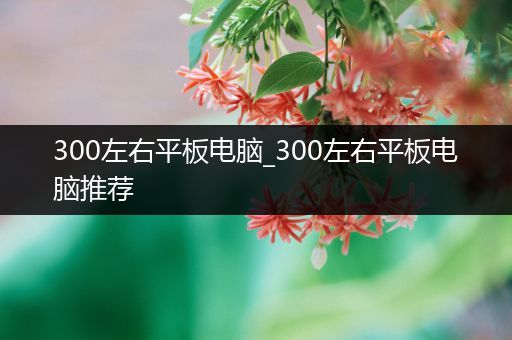 300左右平板电脑_300左右平板电脑推荐