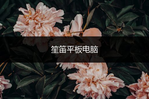 笙笛平板电脑