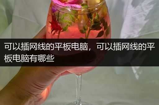 可以插网线的平板电脑，可以插网线的平板电脑有哪些