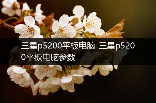 三星p5200平板电脑-三星p5200平板电脑参数