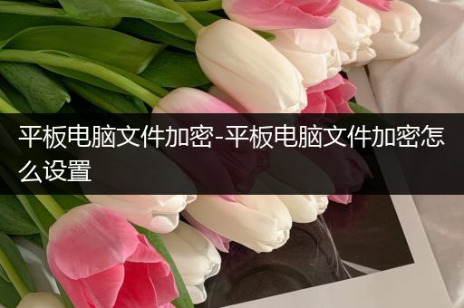 平板电脑文件加密-平板电脑文件加密怎么设置