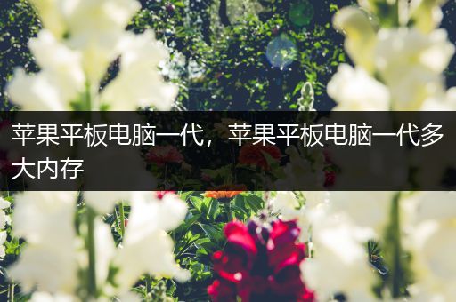 苹果平板电脑一代，苹果平板电脑一代多大内存