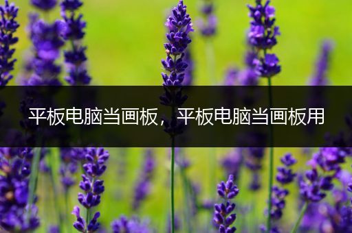 平板电脑当画板，平板电脑当画板用