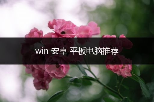 win 安卓 平板电脑推荐