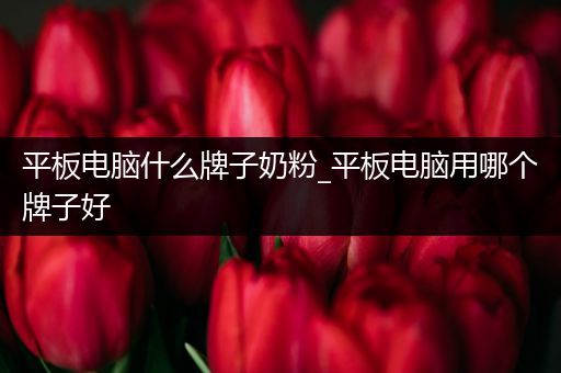 平板电脑什么牌子奶粉_平板电脑用哪个牌子好