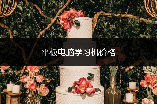 平板电脑学习机价格