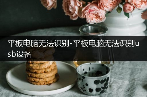 平板电脑无法识别-平板电脑无法识别usb设备