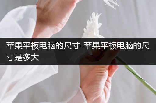 苹果平板电脑的尺寸-苹果平板电脑的尺寸是多大