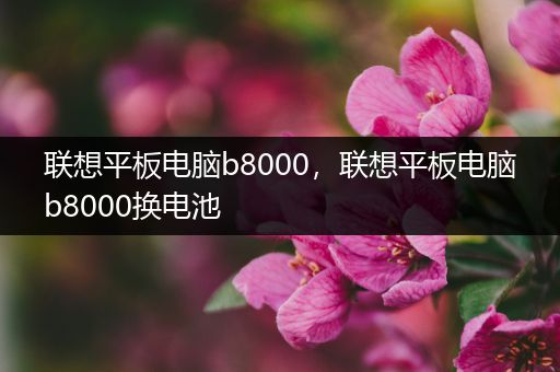 联想平板电脑b8000，联想平板电脑b8000换电池