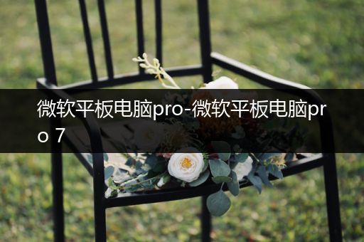 微软平板电脑pro-微软平板电脑pro 7