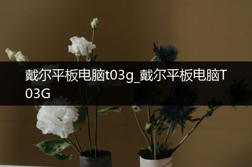戴尔平板电脑t03g_戴尔平板电脑T03G