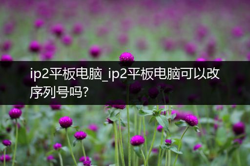 ip2平板电脑_ip2平板电脑可以改序列号吗?