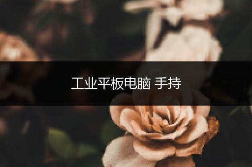 工业平板电脑 手持