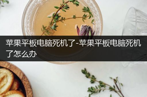 苹果平板电脑死机了-苹果平板电脑死机了怎么办